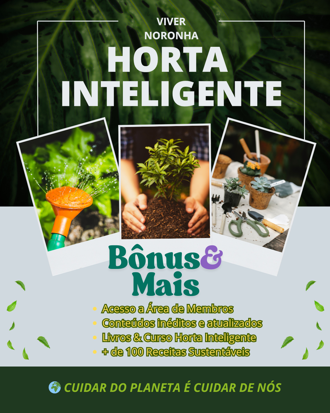 Horta Inteligente - Curso