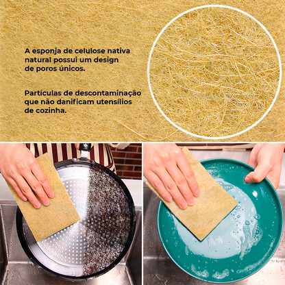 Kit Esponjas Ecológicas - Frete Grátis