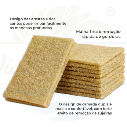 Kit Esponjas Ecológicas - Frete Grátis