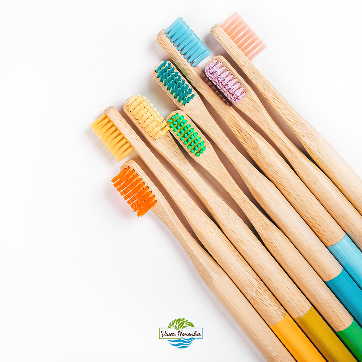 10 Escovas de Bambu Cilíndricas - Adulto - Frete Grátis